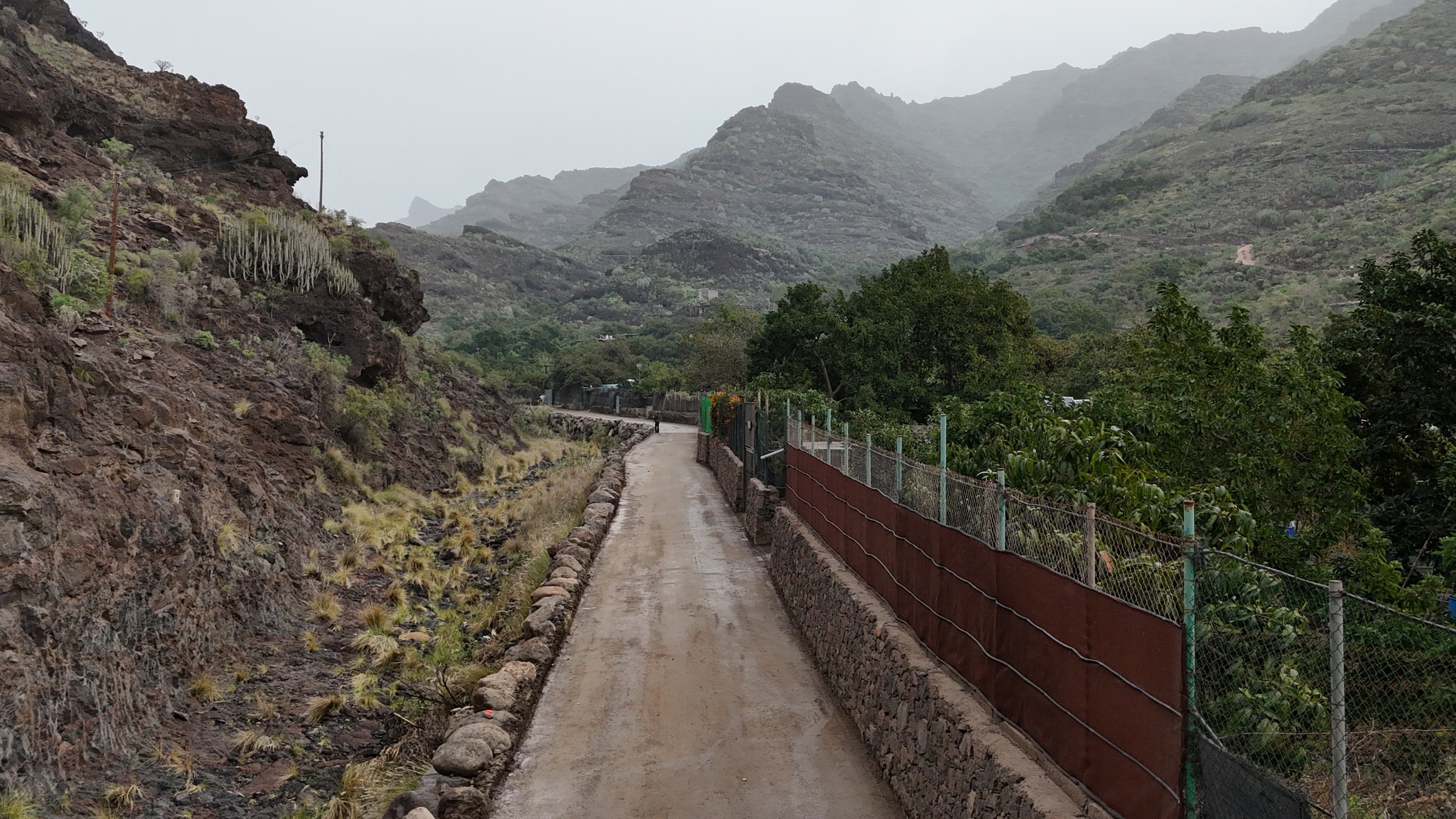 Barranco de Veneguera — imagen 07